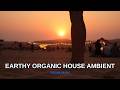 Ultimate Chill Relaxing Earthy Ambient Mix