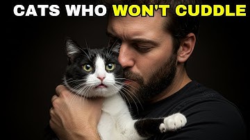 SHOCKING Reason Your Cat Won