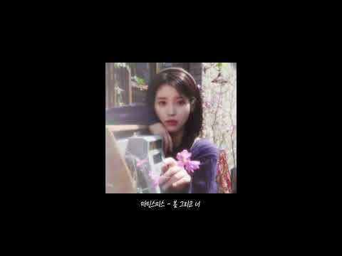 [𝐏𝐥𝐚𝐲𝐥𝐢𝐬𝐭] 봄, 사랑, 벚꽃 말고
