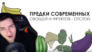 видео: Hellyeahplay смотрит: Предки современных овощей и фруктов — отстой Академия Сэма Онеллы картинка: Hellyeahplay смотрит: Предки современных овощей и фруктов — отстой Академия Сэма Онеллы