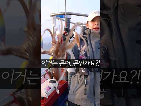 이게 정말 쭈꾸미라고???