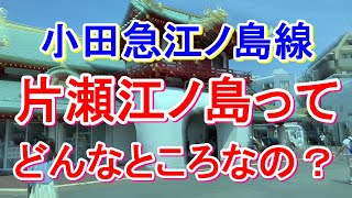 【行先探訪204】ド定番観光地「江ノ島」は想像以上に険しかった！