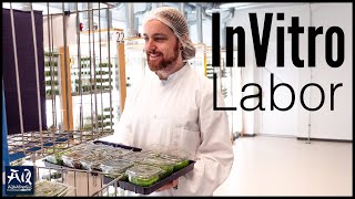 Laboratoria in-vitro Tropica