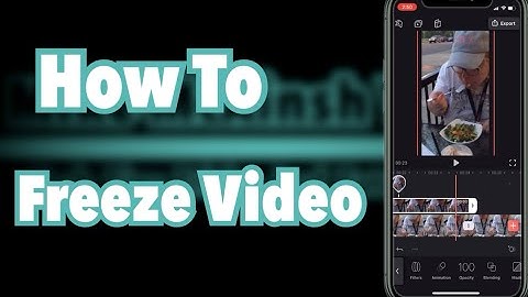 How To Freeze Video For Free | Enlight Videoleap Tutorial