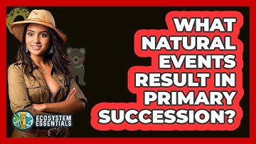 What Natural Events Result In Primary Succession?