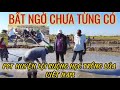 Bt ng cha tng c lnh o huyn li rung cch trng la nc vit nam