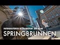 Fotografieren in Frankfurt am Main: Springbrunnen