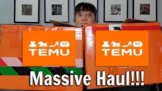 Mega TEMU Haul | 9/11/23 | From Fun To Functional