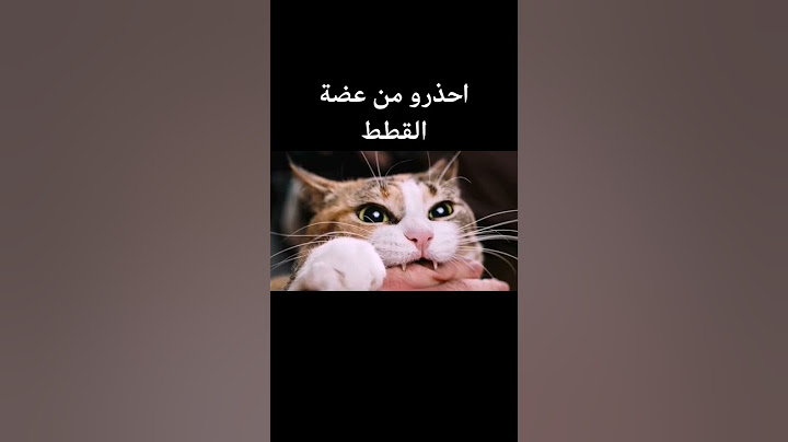 تعرض لعضة قطة.. والنتيجة عدوى بكتيرية "أعراضها خطيرة"