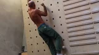 Climbing Monkey! #shorts