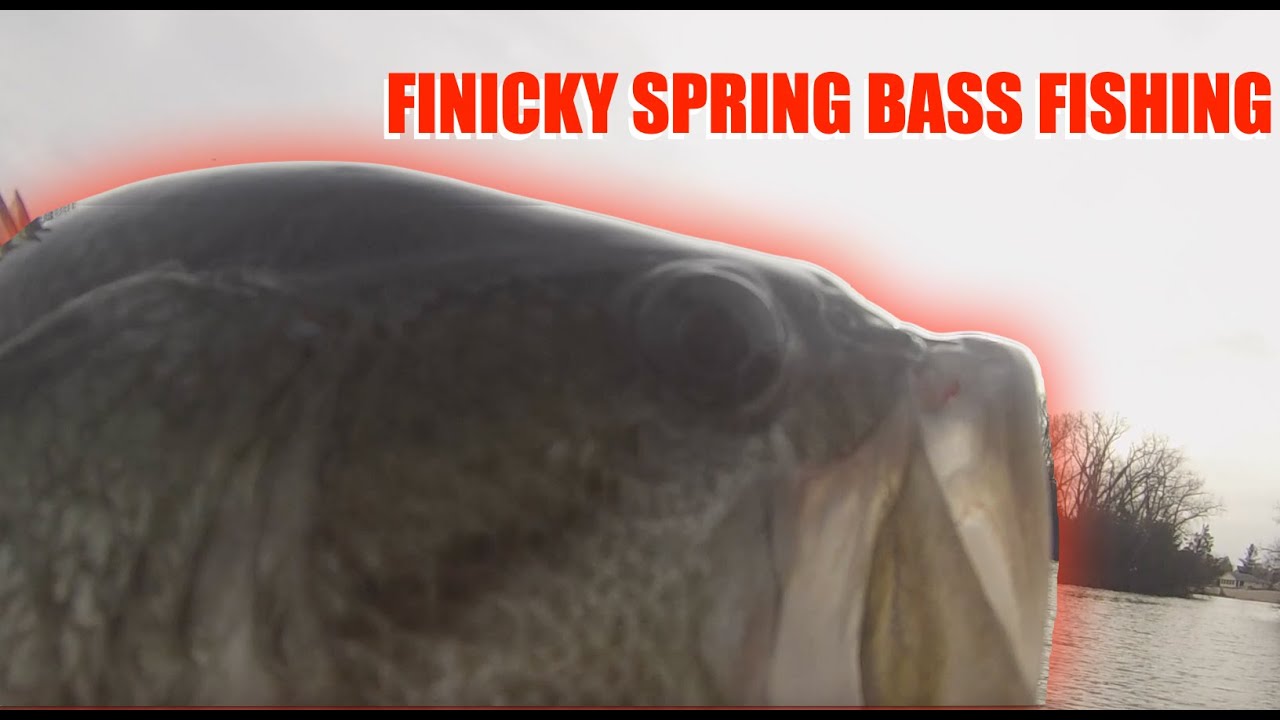 FISHING FOR FINICKY BASS | Prespawn Bass Fishing in Nebraska