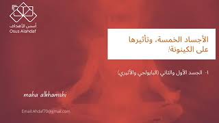 ماهي الاجساد الخمسة ؟ المادي والآثيري اولها .