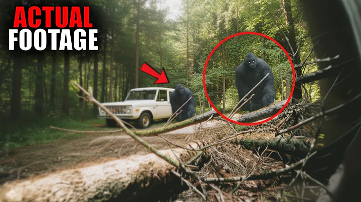 The Most Incredible Bigfoot Footage Ever Recorded!