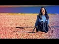 My BIGGEST Regret on My BIGGEST Video: Cranberry Harvest