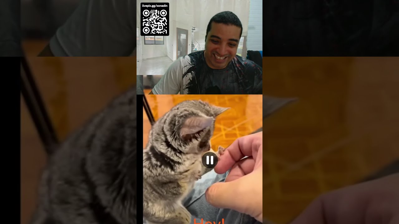 Memes estranhos! 🎭 (Unusual Memes V353) 