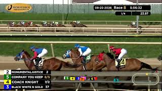 Vidéo de la course PMU CLAIMING