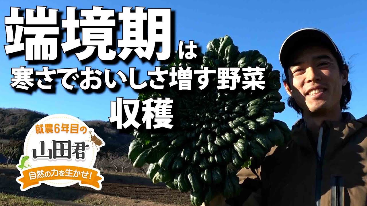 Yamada-kun in His 6th Year of Farming: Harnessing the Power of