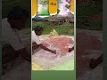 పత్తి కాయలు బరువు గా రావడానికి