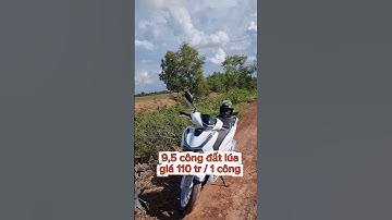 bán 9,5 công đất lúa ở xã thạnh phước thạnh hóa long an #muabandatgiare #batdongsan