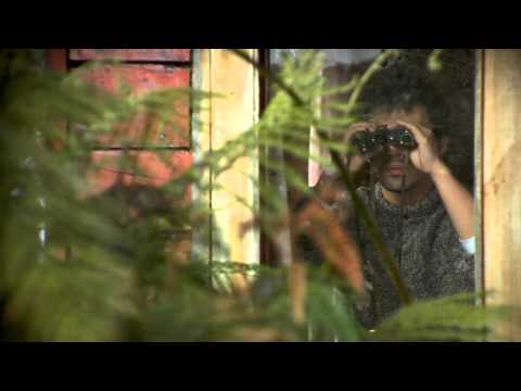 Trailer: El Ejercito de los Helechos
