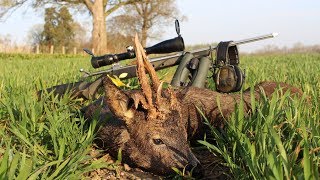 Rehbockjagd in England / roebuck hunting in England - Hunter Brothers