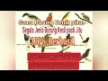 Suara Pikat Semua Jenis Burung Kecil Ampuh Berhasil Mp3 - Mp4 Download