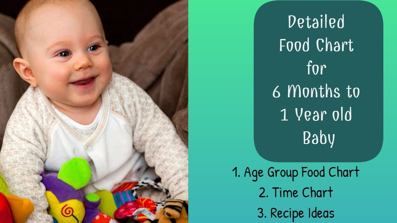 Complete Food Chart for 6 Months to 1 year old bab || Daily Food ...