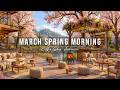 Peaceful March Spring Morning Outdoor Coffee Shop Ambience With Smooth Jazz Music For Good Moods