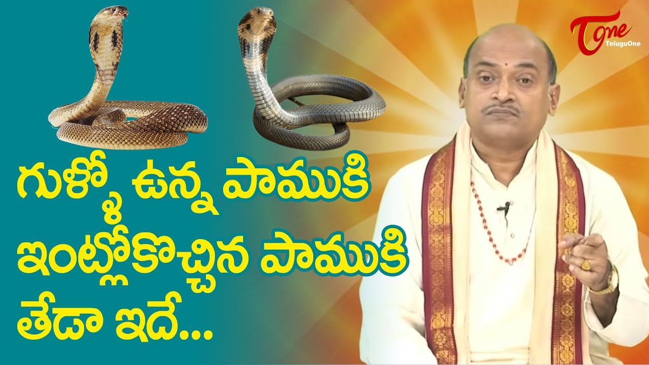 గుళ్ళో ఉన్న పాముకి ఇంట్లోకొచ్చిన పాముకి తేడా ఇదే | Garikapati NarasimhaRao Latest Speech | TeluguOne