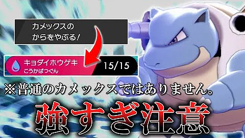 剣盾カメックス