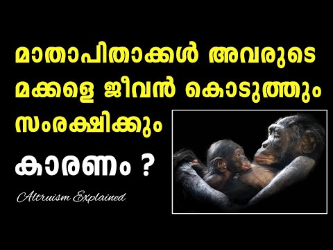 Altruism and Hamilton&rsquo;s Rule Malayalam | Animal Behaviour Malayalam | Coefficient of Relatedness