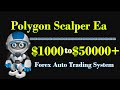 Polygon Scalper Ea - Forex Auto Trading System