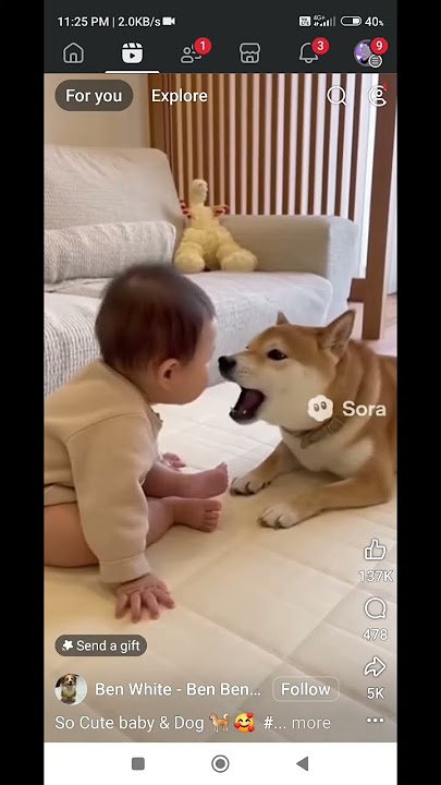 Ui hi tiang hian anlo bauh thei nimaw