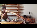 Didgeridoo red