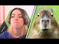 Shubble Reviews Animals For 8 Minutes and 41 Seconds