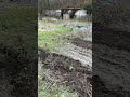 Visite du grand potager