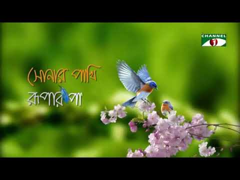 sonar pakhi rupar pakhi( সোনার পাখি রুপার পাখি, শেষ পর্ব।