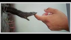 Youtube Youtube