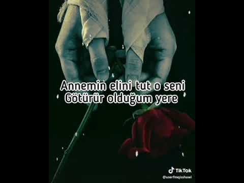 كوثر الحبيب 3