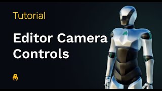 Editor Camera Controls - How To Control The Camera In The 3Dverse Editor