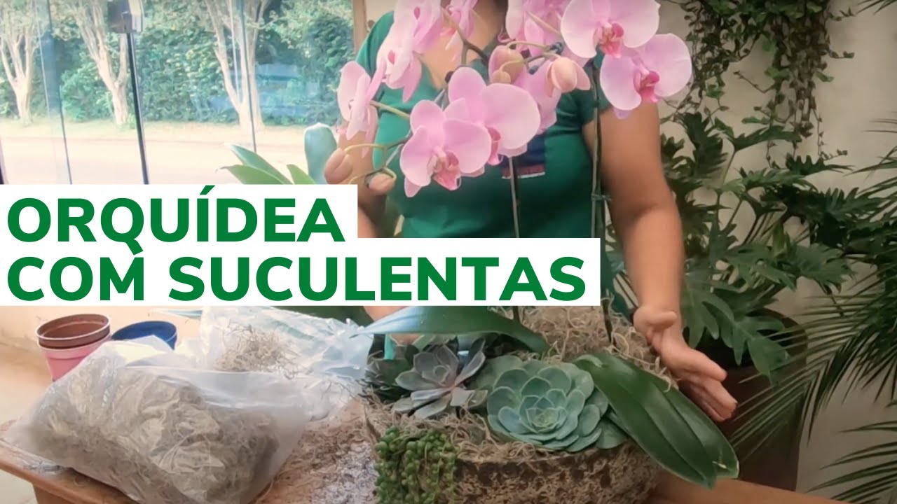 COMO COMBINAR ORQUÍDEA COM SUCULENTAS | Veja como fazer uma LINDO ARRANJO  para sua casa - thptnganamst.edu.vn