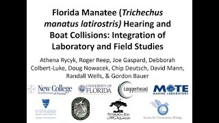 HMSC Research Seminar July 16, 2020