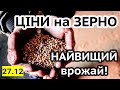 Ціни на зерно 27.12! Різдв'яний випуск. Пшениця -200, Соняшник +300. Кукурудзу не приймають?