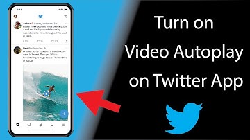 How to Turn on Video Autoplay on Twitter App?