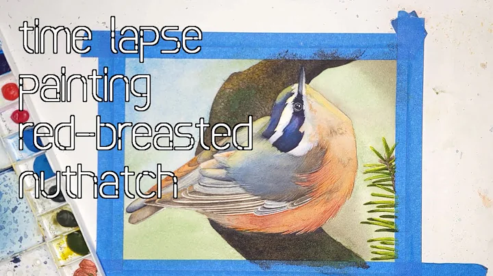Time Lapse | Watercolor Bird Painting: Red-breaste...