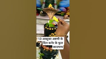 13 अक्टूबर अष्टमी के दिन कनेर के फूल का उपाय #pradeepmishrajidhankeupay #pujyapanditpradeepmishra 🌺🌺
