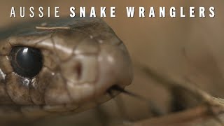 You Cheeky Bugger Aussie Snake Wranglers Earthx