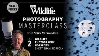 Episode Two. Wildlife hotspots: Snettisham Nature Reserve, North Norfolk | Photography Masterclass screenshot 5