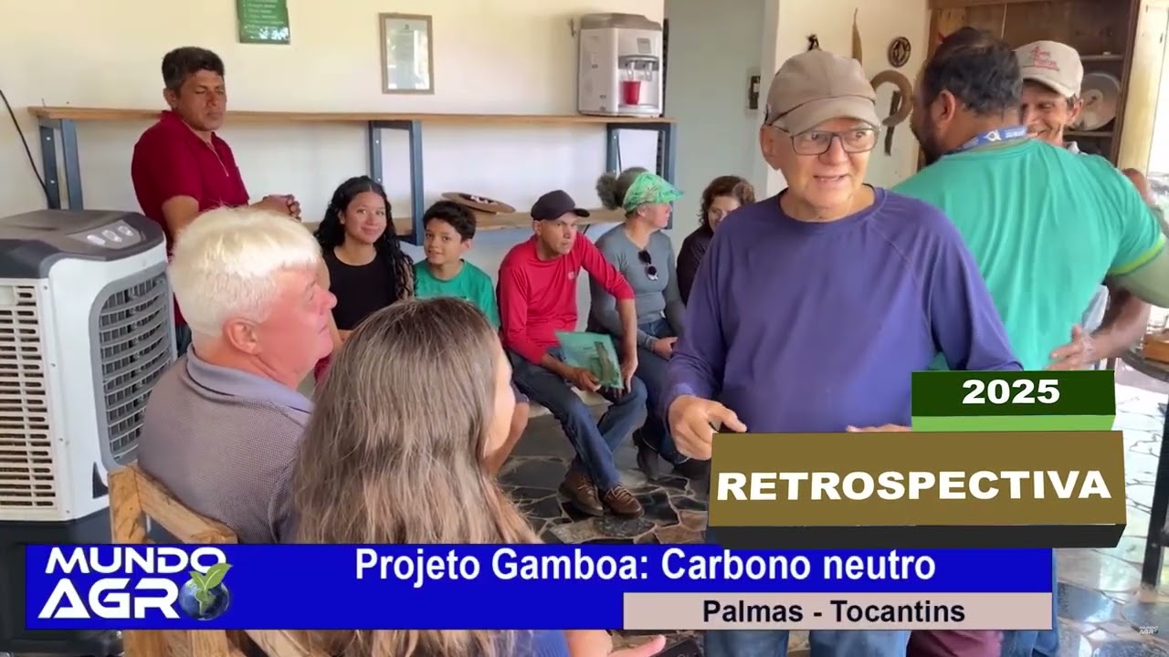 Melhores Momentos 2025