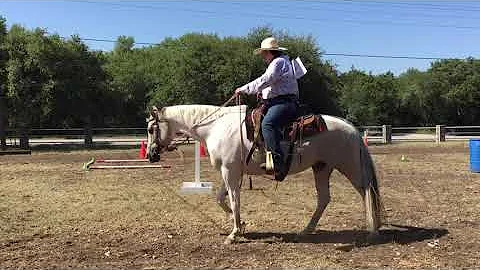 WSHE Obstacle Course #2 Debra Fuller and Scarlett ...